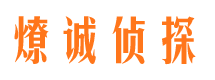 安庆私家调查